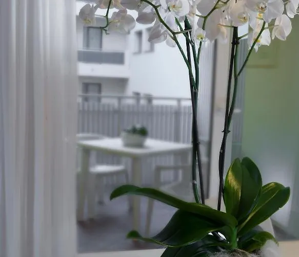 شقة فندقية Aurora 4*