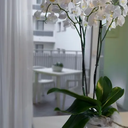 アパートホテル Aurora 4*